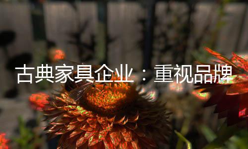 专注于产品的古典研发