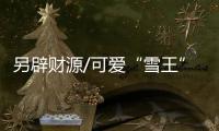 快排公司十年历程，霸屏兔 seo 的崛起与坚守
