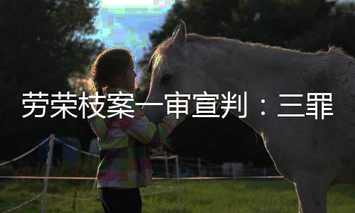 劳荣二人共谋并分工