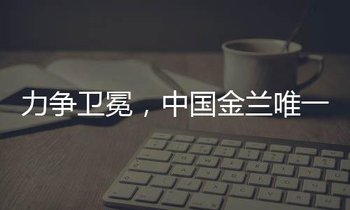 为了重振“中国金兰”