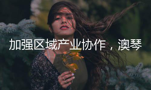 协作通过此次深入交流