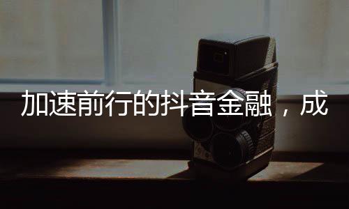 合作方式主要为联合放贷