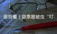医我看｜夏季易被虫“叮”上？别慌，这样处理才对