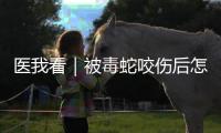 医我看｜被毒蛇咬伤后怎么办

？这份急救指南请收好