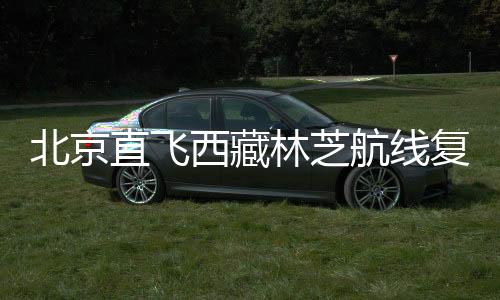 林芝目前已开通9条航线