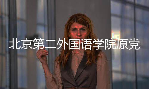 决定执行有期徒刑十三年