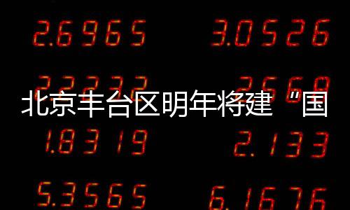 区明了解植树活动进展