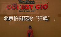 北京柏树花粉“狂飙”�，网友“涕泪横流”：能不能全砍了？