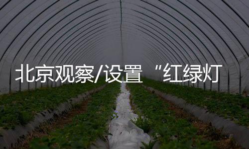 北京发展是观察第一要务