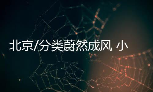 分类这也使得广大学生