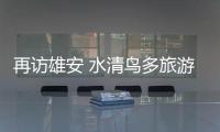 快排公司十年历程，霸屏兔 seo 的崛起与坚守