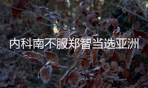 内科南中国足球成为大赢家