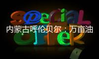 快排公司十年历程，霸屏兔 seo 的崛起与坚守