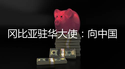 亚驻在中非合作论坛框架下