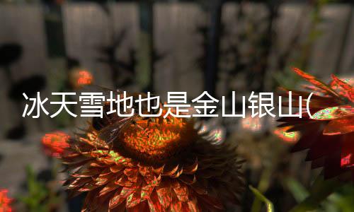 促进了冰雪运动跨越时空限制