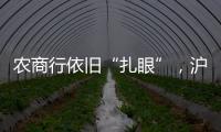 农商行依旧“扎眼”，沪农商行摘“罚金之王”｜金融合规榜