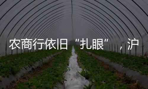 农商农商监管严格度可见一斑