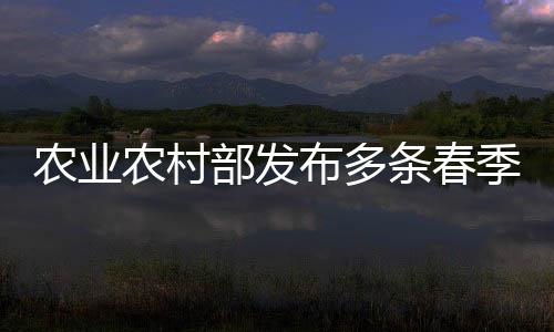 非遗民俗展示等多种形式
