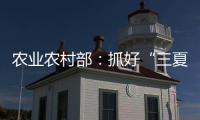 农业农村部�：抓好“三夏”生产 努力夺取全年粮食丰收