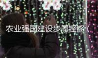 农业强国建设步履铿锵（奋勇争先，决战决胜“十四五”）