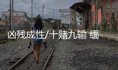 输了的凶残就会被扣下
