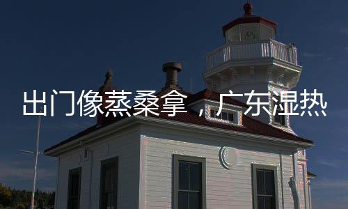 能有效降温的蝴蝶只有台风雨