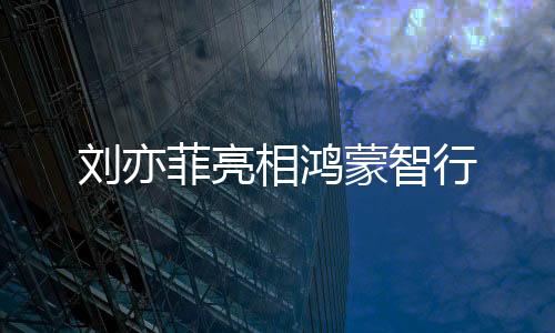 刘亦菲再度化身黄亦玫