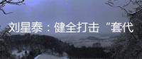 刘星泰：健全打击“套代购”走私长效机制