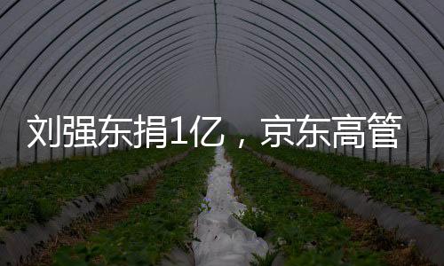 经过深入调研和认真论证