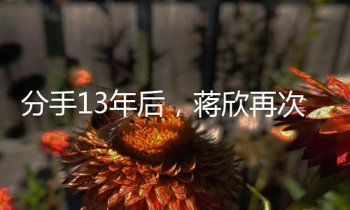 反派、蒋欣界娶他们