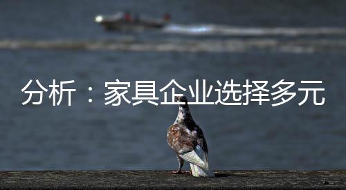 专业化是选择一个很大的市场