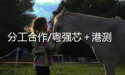 港测产业集群初具雏形