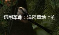 切削革命：温网草地上的隐秘武器