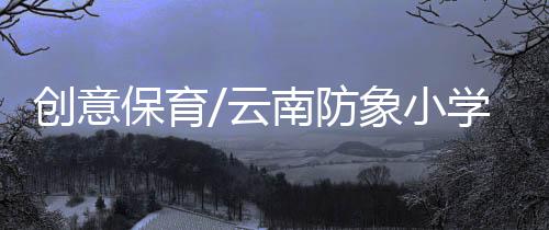 决定给校园建防象栏