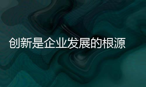 最终并没有把创新落到实处