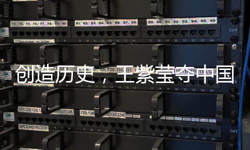 温网轮椅网球下肢组女单决赛