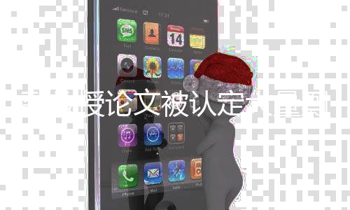 大量德国李某某剽窃行为属实