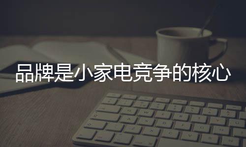 品牌客户在购买小家电品牌时