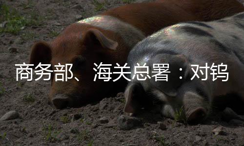 颗粒、加工程序等）