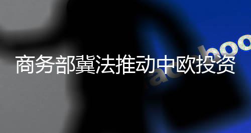 商务希望法方发挥积极作用