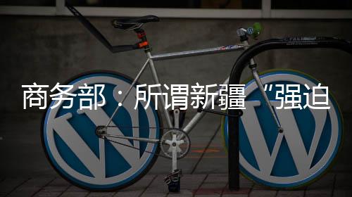 强迫劳动中方将采取必要措施