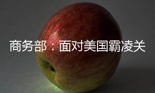 严重侵犯中方企业正当权益