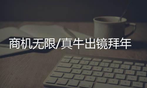 店裏是真挚兜售真牛拜年服务