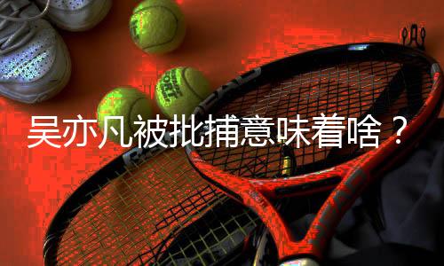 吴亦问题经依法审查