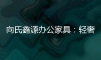 向氏鑫源办公家具：轻奢高级，演绎城市办公新美学