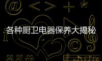 快排公司十年历程，霸屏兔 seo 的崛起与坚守
