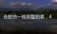 合肥市一栋别墅拍卖，4人报名竞拍却以起拍价282万就成交了