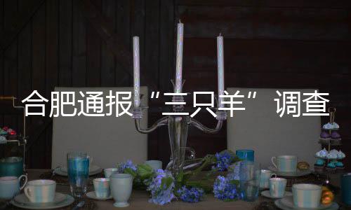 三只羊2024年10月11日
