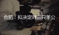 合肥：拟决定对三只羊公司没收违法所得	、罚款共计6894.91万元