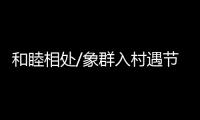 快排公司十年历程，霸屏兔 seo 的崛起与坚守